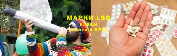 хмурый Корсаков