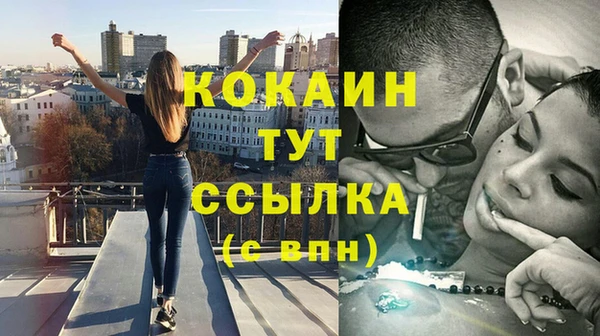 хмурый Корсаков