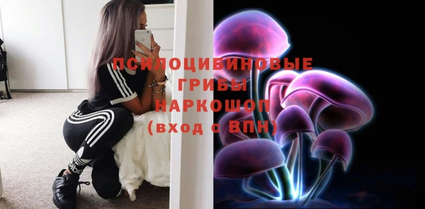 СК Костерёво