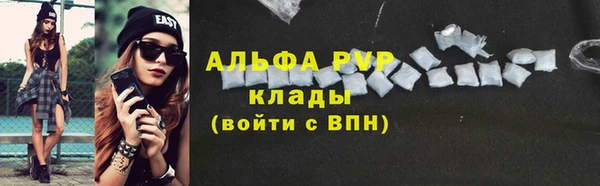 хмурый Корсаков