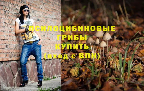 хмурый Корсаков