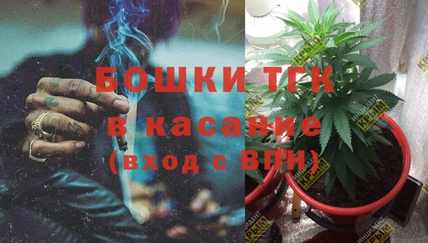 хмурый Корсаков