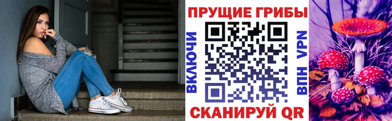 Купить закладки  Вышний Волочёк  Псилоцибиновые грибы ЛСД 