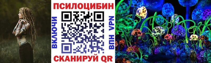 Галлюциногенные грибы Cubensis Вышний Волочёк