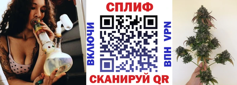 Бошки марихуана конопля  Купить закладки  Вышний Волочёк 